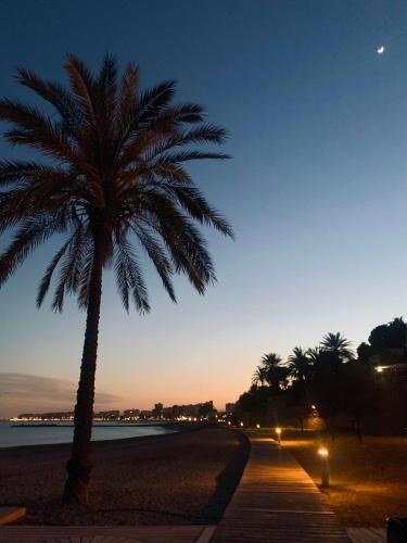 uma palmeira numa praia à noite em Apartamento Benicàssim Sunset Calm&Views em Benicàssim
