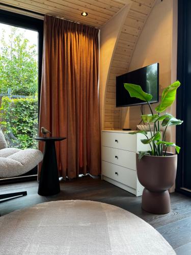 un salon avec une télévision et une plante dans l'établissement Bijzonder Lekker overnachten, à Beetsterzwaag