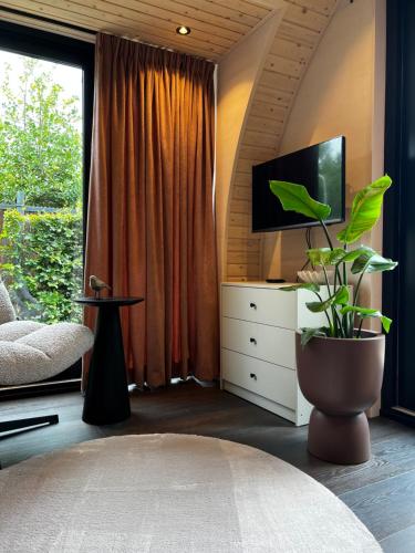 a living room with a tv and a plant at Bijzonder Lekker overnachten in Beetsterzwaag