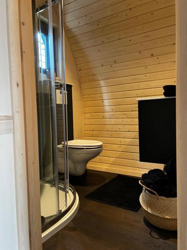 La salle de bains est pourvue de toilettes et d'une douche en verre. dans l'établissement Bijzonder Lekker overnachten, à Beetsterzwaag