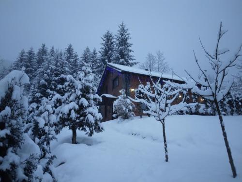 a log cabin in the snow with trees at Cabana Vasc in Borsa