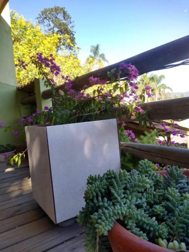 a plant in a pot on a deck with flowers at Joaquina 433 - Pousada Floripa in Florianópolis