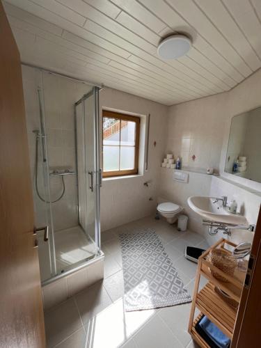 a bathroom with a shower and a toilet and a sink at Kotteme Bude! in Kottenborn
