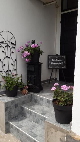 a group of potted plants sitting on the steps at Bela Vila in Negotin