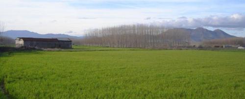 a large green field with a barn and mountains in the background at Habitacion y naturaleza in Belicena