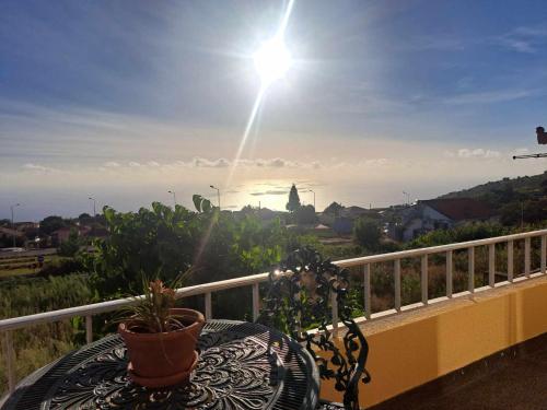 a table with a plant on a balcony with the sun at Calheta Countryside in Calheta