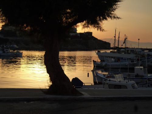 a tree sitting next to a body of water with boats at Aethrio Guesthouse in Souvala