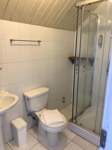 La salle de bains est pourvue de toilettes, d'une douche et d'un lavabo. dans l'établissement La Nuez BnB, à Pucón
