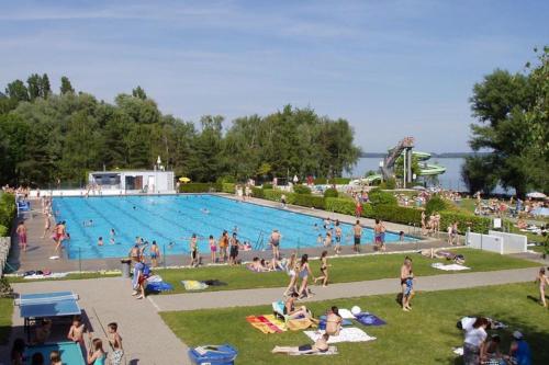 un grand groupe de personnes dans une piscine dans l'établissement Chaleureux studio entre Neuchatel et Bienne, à Le Landeron