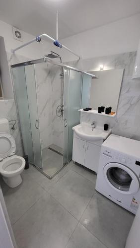 een badkamer met een douche, een toilet en een wastafel bij Apartmaji Branko in Renče