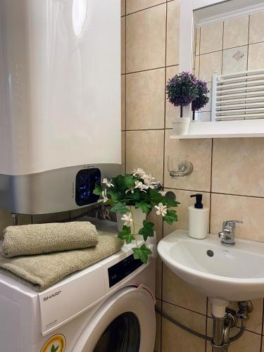 a bathroom with a washing machine and a sink at Szepihenő in Balatonszepezd