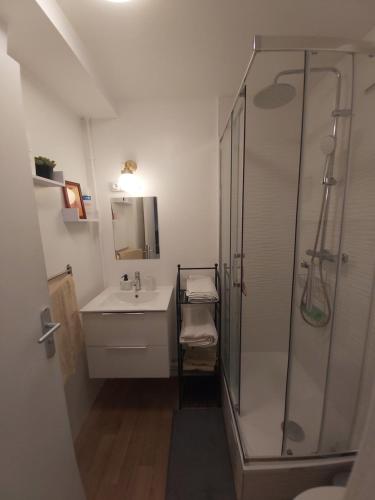uma casa de banho com um chuveiro e um lavatório. em Beau studio proche gare em Gagny