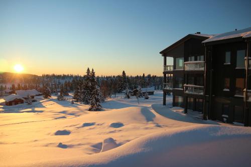 Το Beautiful penthouse with panoramic view at Sjusjøen τον χειμώνα