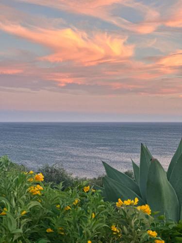 a painting of the ocean with flowers in the foreground at Vila Luz in Luz
