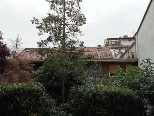 a house with a tree in front of a building at Il grande blu in Milan