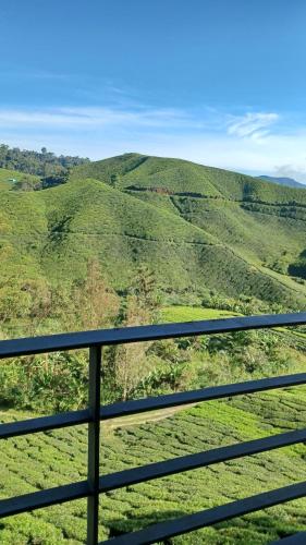 a view of auliculiculiculiculiculiculiculiculiculiculiculic at BRICKS Cameron Hostel in Tanah Rata