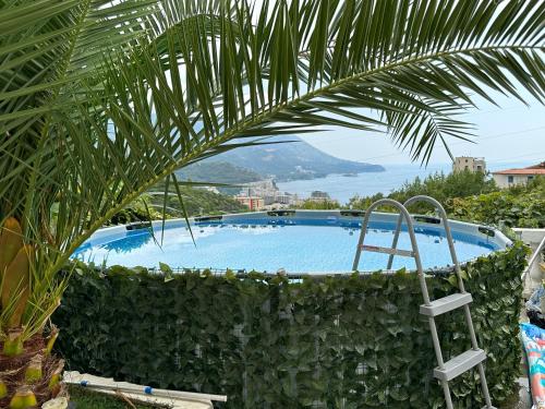 Blick auf einen Pool mit einer Palme in der Unterkunft Apartman Marija in Becici