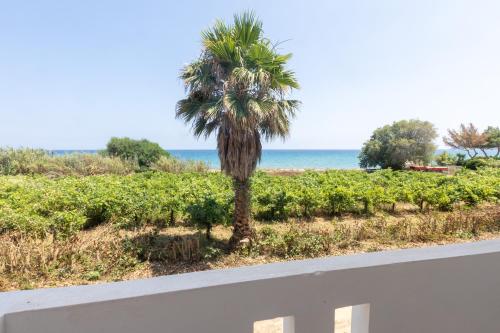 a palm tree on the side of a road at Seaheaven houses A2 in Koroni