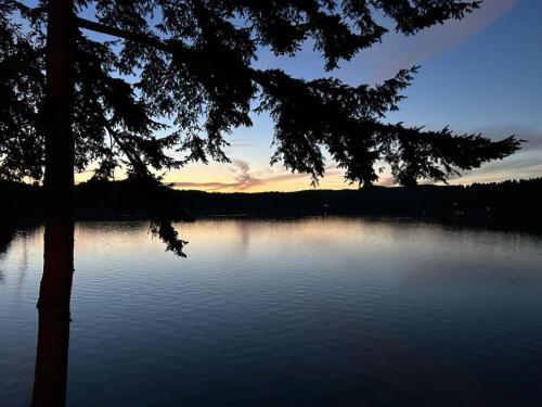 a view of a lake with a tree in the foreground at The Salish Sunset Cabin in Pender Island