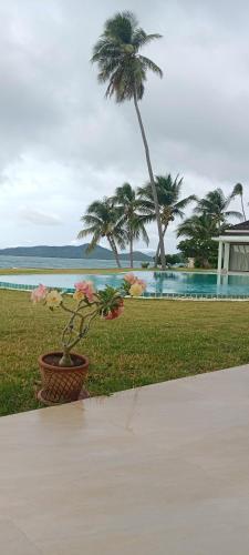 a potted plant sitting on a sidewalk next to a beach at Baan Tasha in Laem Sor