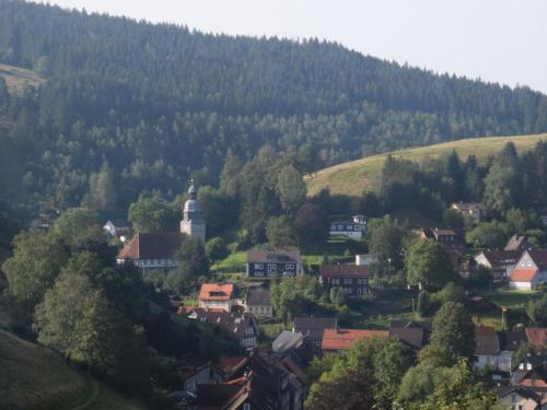 a small town in the mountains with a church at Charmantes Dachgeschoss-Refugium, Harz in Wildemann