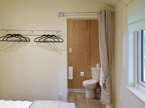 a bathroom with a bed and a toilet in a room at Shepherds Hut 1 At Laddingford - Uk32531 in Yalding