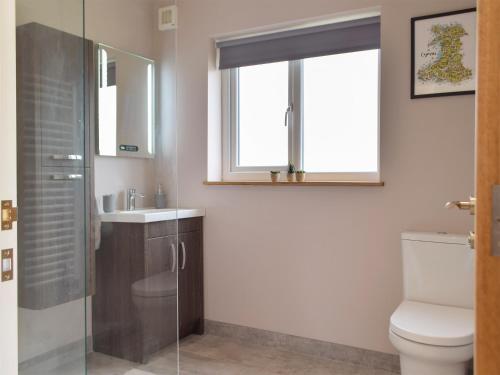 a bathroom with a toilet and a sink and a mirror at Cadno - Uk32825 in Cwrt-newydd