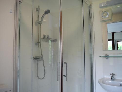 a bathroom with a shower and a sink at Italian Carriage-ukc3492 in Wetheringsett