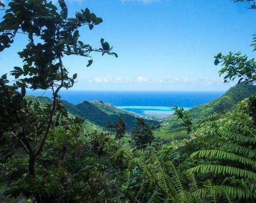 a view of the ocean from the mountains at Faré Anaiti Moorea in Iumaru