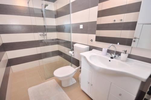 ein Bad mit einem WC, einem Waschbecken und einer Dusche in der Unterkunft Apartments Zorka Leko in Omiš