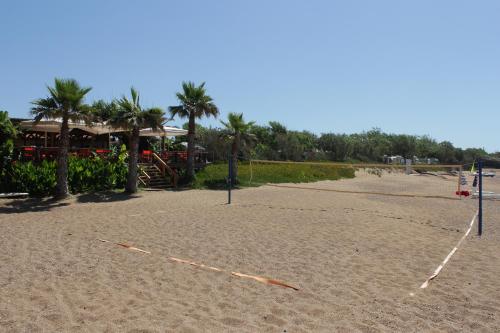 a sandy beach with a restaurant and palm trees at Ionion Beach Apartment Hotel & Spa in Arkoudi