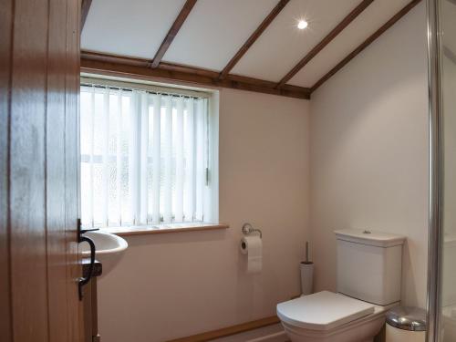 uma casa de banho com um WC, um lavatório e uma janela em Pipers Stable em Nether Stowey