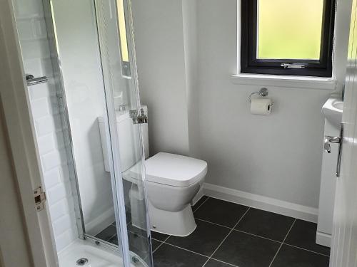 a bathroom with a toilet and a glass shower at Bluebell Lodge - Uk13449 in Halwill