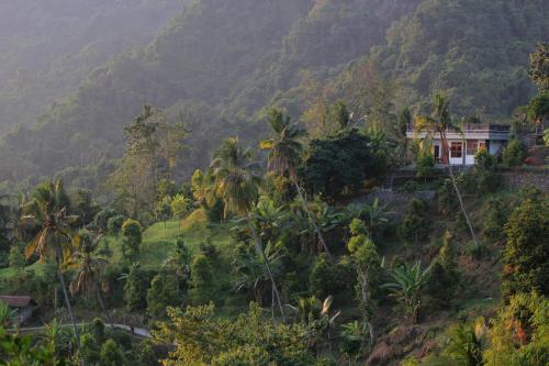 a house on a hill with palm trees and a mountain at Rostika Hotel Sekumpul in Buleleng