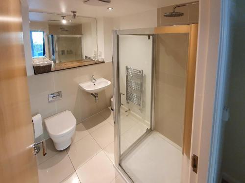 a bathroom with a shower and a toilet and a sink at Apartment 4, Zinc in Newquay
