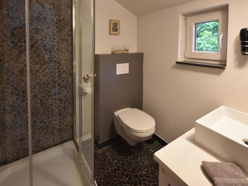 a bathroom with a toilet and a shower and a sink at Beautiful holiday home in the middle of nature in Berlingen