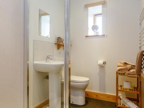 a bathroom with a toilet and a sink at Shippen-uk12107 in Woolfardisworthy
