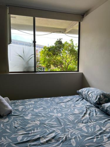 a bed in a room with a large window at Adalong Student Guest House in Brisbane
