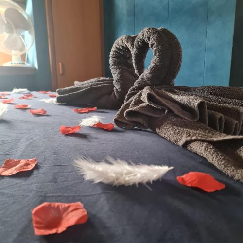 a bunch of feathers on a bed with a blanket at Nuit insolite bateau à quai - Port Saint Louis du Rhône in Saint-Louis-du-Rhône