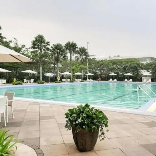 a large swimming pool with a potted plant next to it at Salifa Rooms in Teko