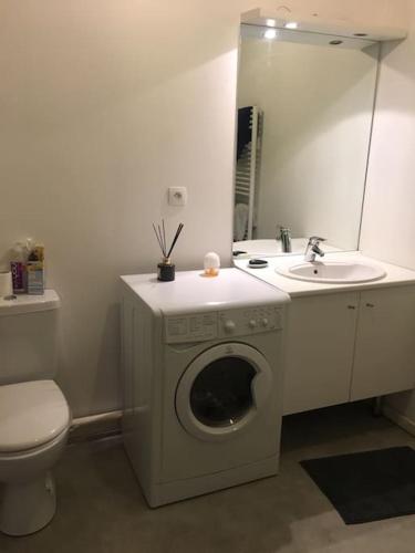 a bathroom with a washing machine and a sink at Appartement Lille Europe in Lille