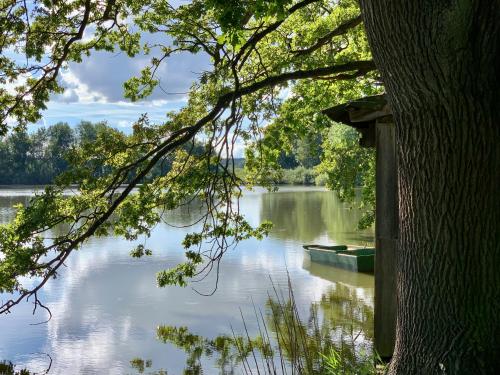 a boat on a lake through a tree at AirbnbTřeboň - modern apartment in Třeboň