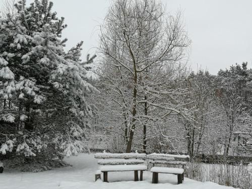 two benches covered in snow in a park at Chatka skrzatka in Kruki