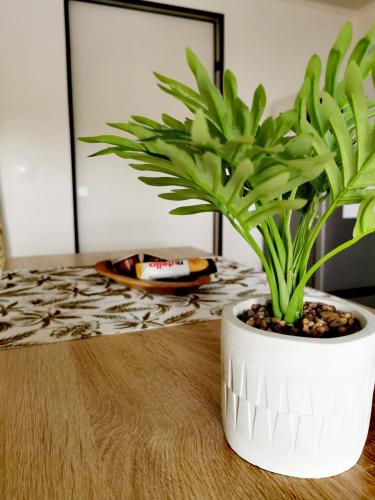 a plant in a white pot sitting on a table at STUDIO Le vent qui chuchote in Saint-Benoît