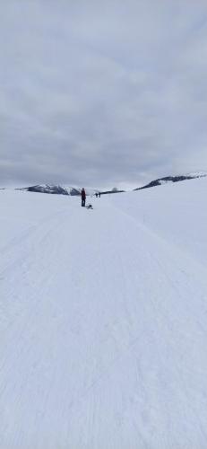 Jariabka Chalet Zrub Nízke Tatry semasa musim sejuk