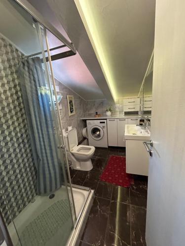 uma casa de banho com um chuveiro, um WC e um lavatório. em Siga Siga Apartment em Mégara