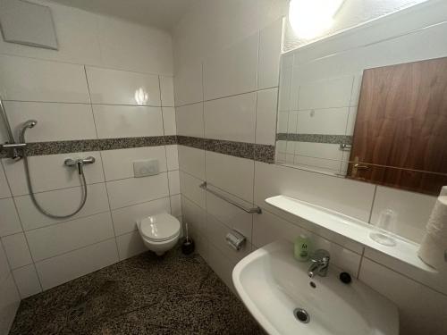 ゴリング・アン・デア・ザルツァッハにあるTorrenerhofのバスルーム(洗面台、トイレ、鏡付)