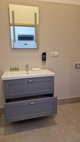 a bathroom with a sink and a mirror at Elegance Studios in Vienna