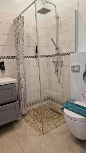 a bathroom with a shower and a toilet at Elegance Studios in Vienna