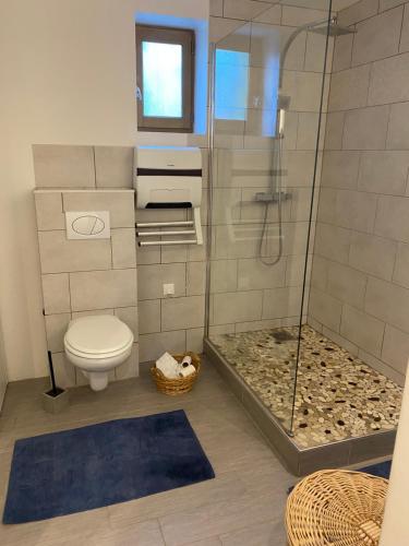 a bathroom with a toilet and a glass shower at La Cigalière de l Isle in LʼIsle-sur-la-Sorgue